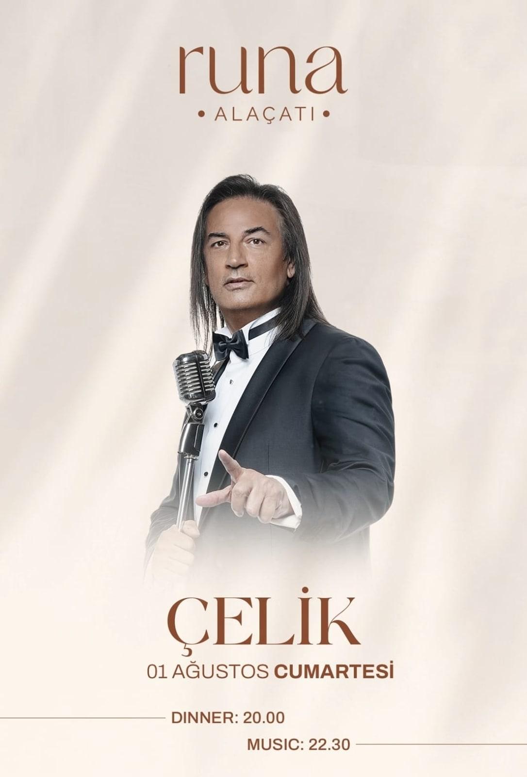 Çelik